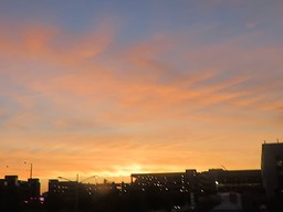 Downtown 5
