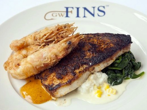 Fins 3