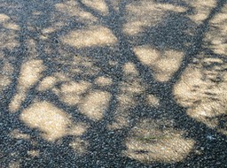IMG_0150