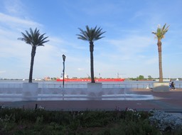 IMG_0173