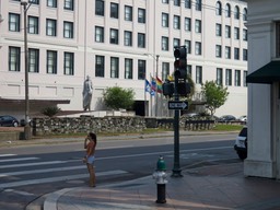 IMG_0206.jpg
