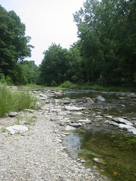 IMG_0241.JPG