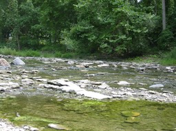 IMG_0243.JPG