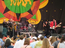 IMG_0252.jpg