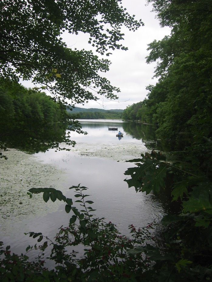 IMG_0354.JPG