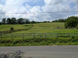 IMG_0357