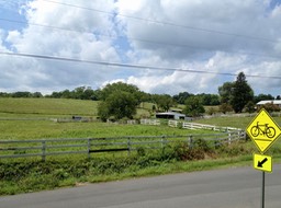 IMG_0359