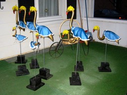 IMG_0497