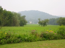 IMG_0546.JPG