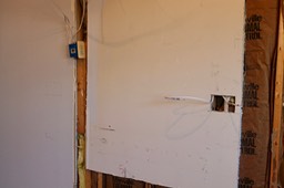 IMG_0623.jpg