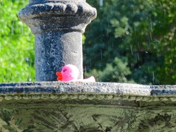 IMG_0649.jpg