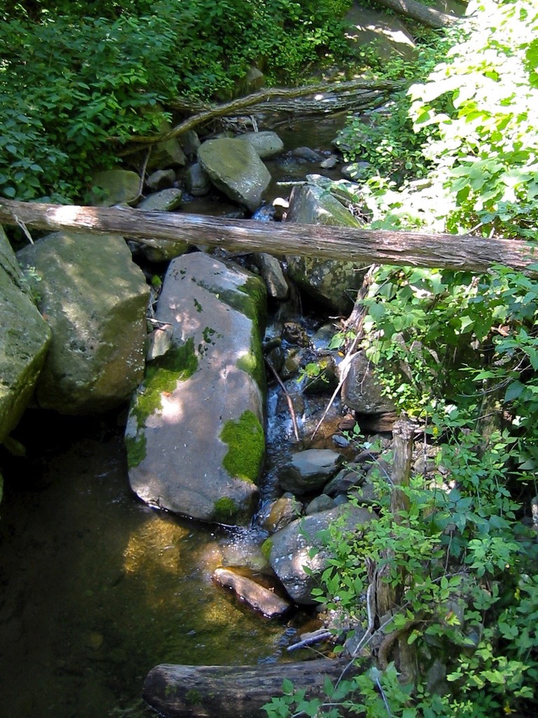 IMG_0704.JPG