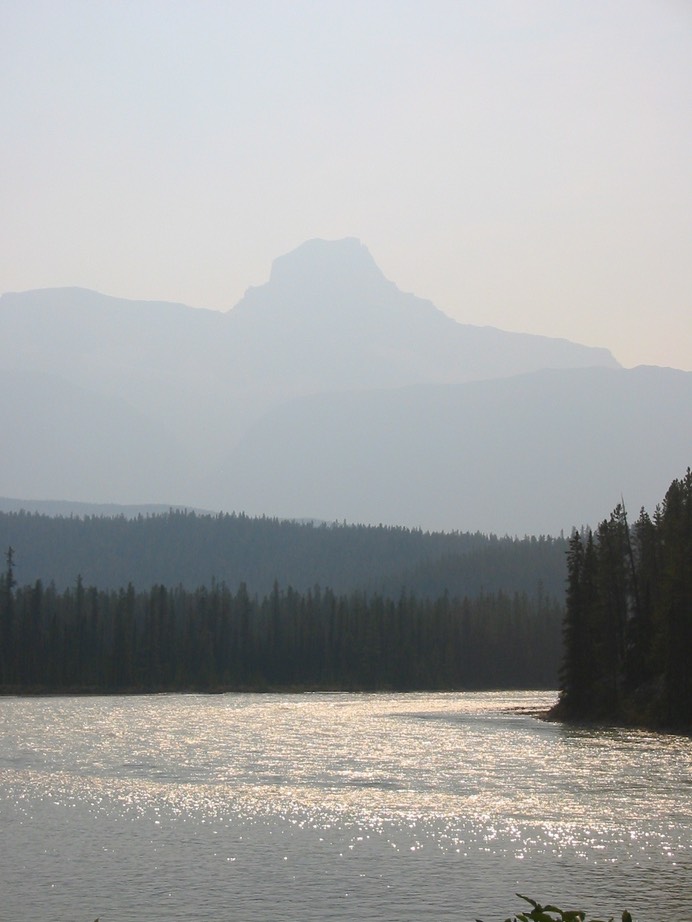 IMG_0780.JPG