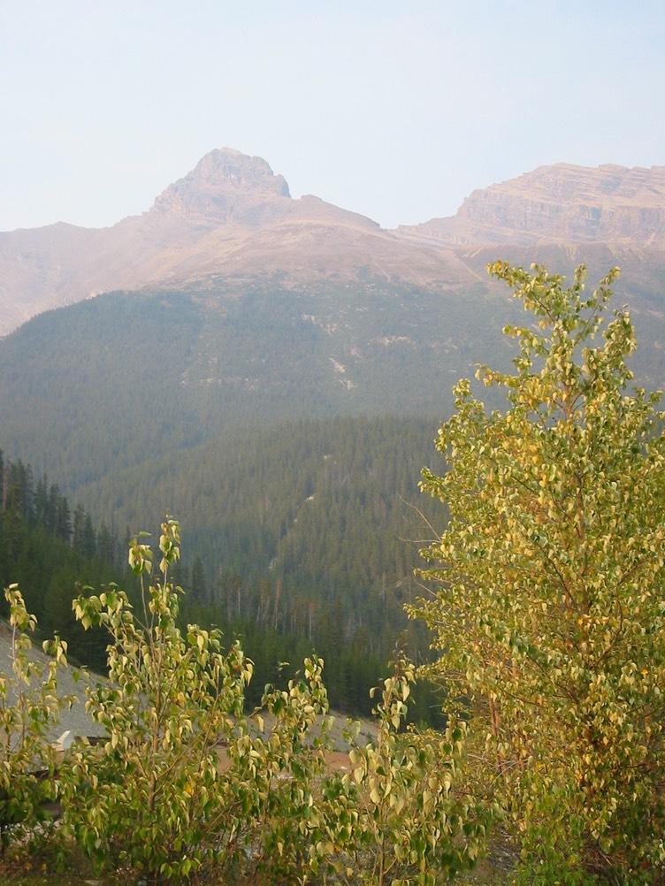 IMG_0824.JPG
