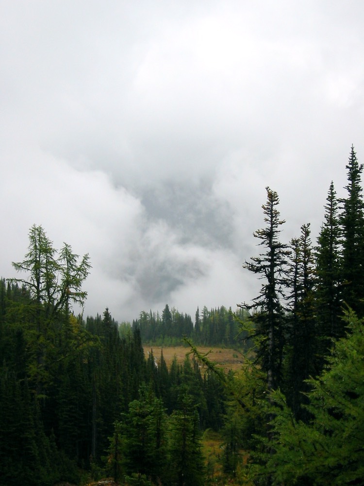 IMG_0925.JPG