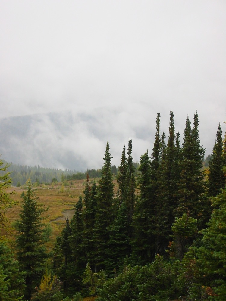 IMG_0933.JPG