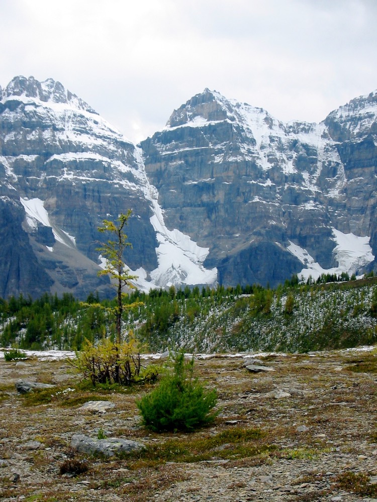 IMG_1090.JPG