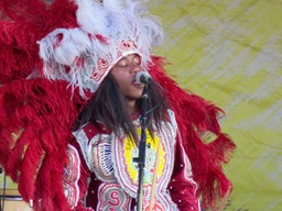 IMG_1284.jpg