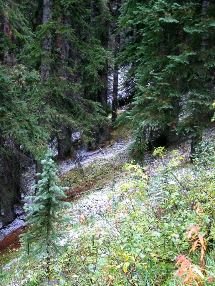 IMG_1288.JPG