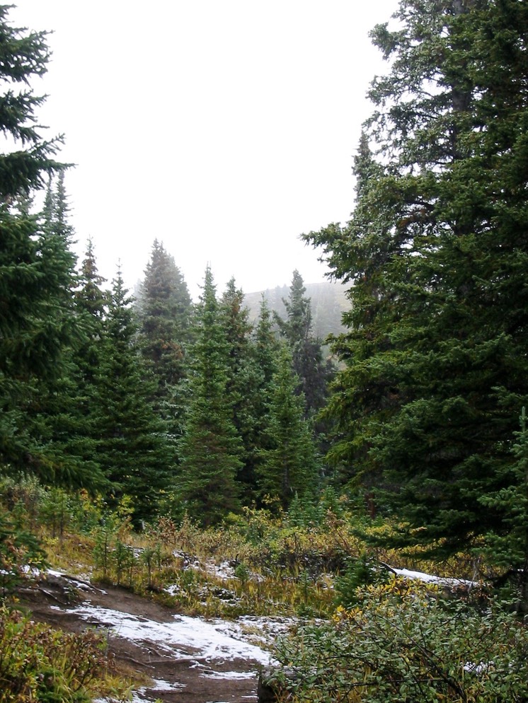 IMG_1289.JPG