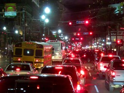 IMG_1295.jpg