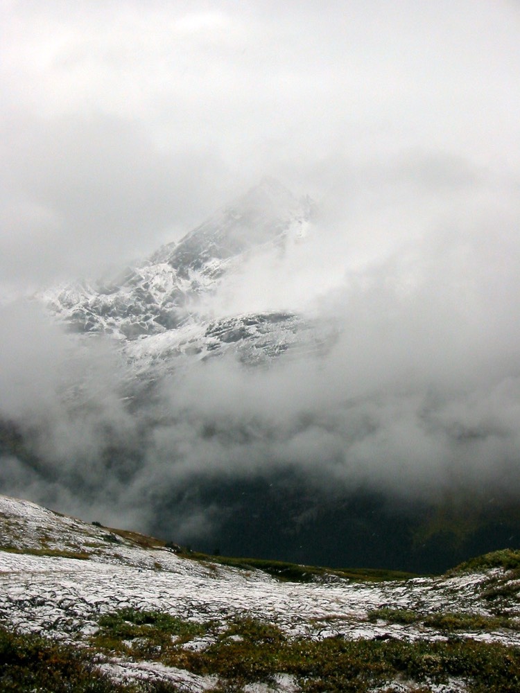 IMG_1345.JPG