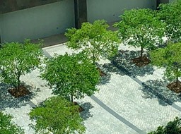 IMG_1556