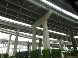 IMG_1563.jpg