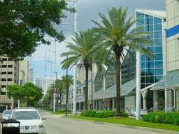 IMG_1566.jpg