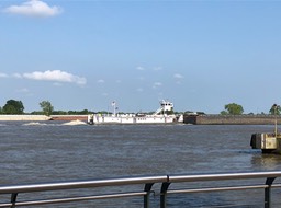 IMG_1578