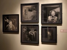 IMG_1633