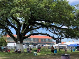 IMG_1766
