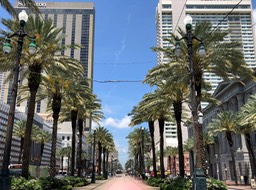 IMG_1786