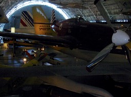 IMG_2183.JPG