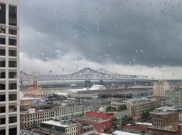 IMG_2213.jpeg