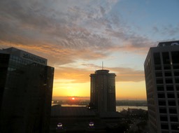 IMG_2427.jpeg