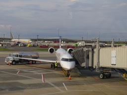 IMG_2526.jpg