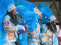 IMG_3223.jpg
