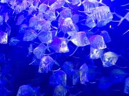 IMG_3310.jpg