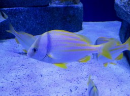 IMG_3324.jpg
