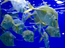 IMG_3331.jpg