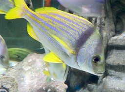 IMG_3338.jpg