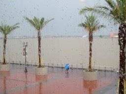 IMG_3360.jpg