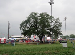 IMG_3703.jpg
