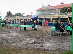 IMG_3704.jpg