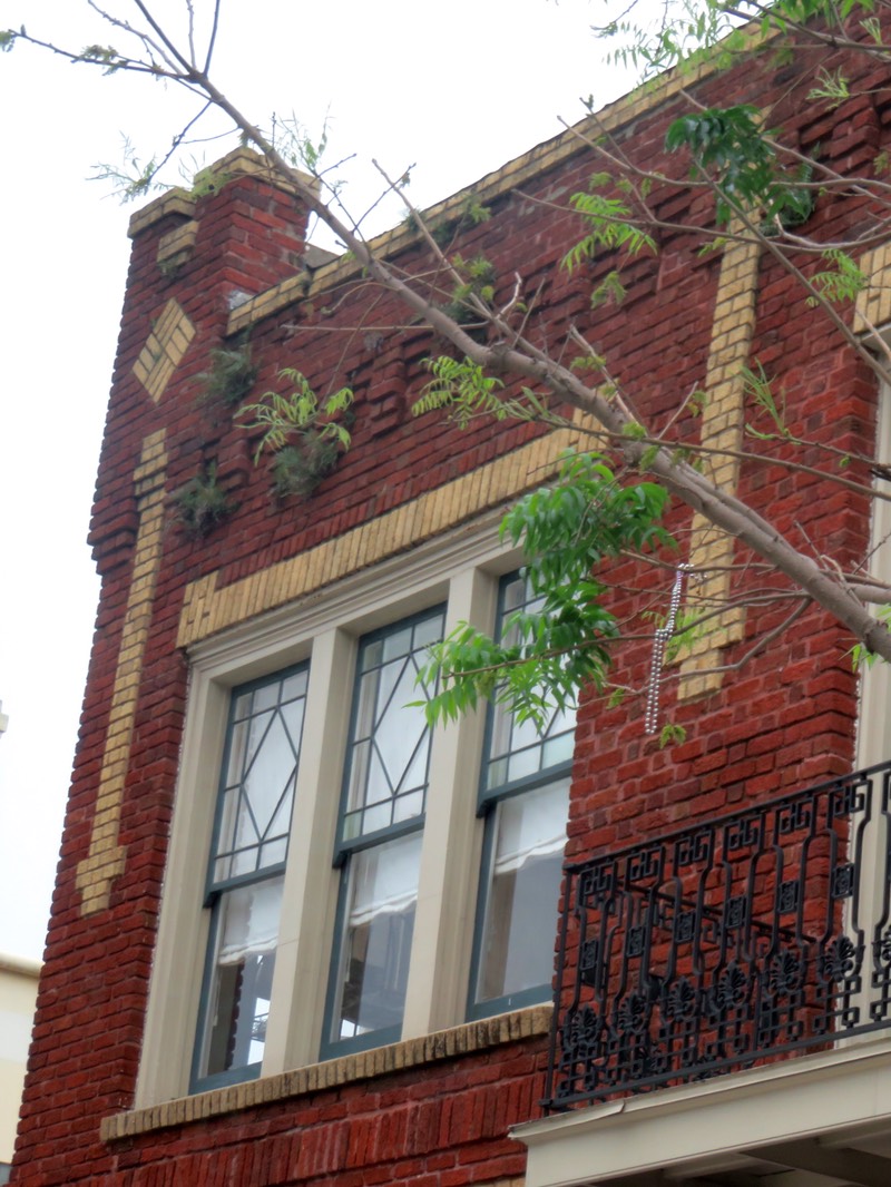 IMG_3830.jpg