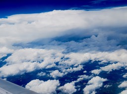 IMG_3841.jpg
