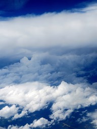 IMG_3843.jpg
