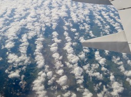 IMG_5876.jpg