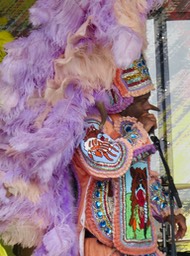 IMG_6238